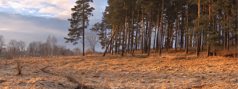 Mês de Fevereiro – Transição e Preparação